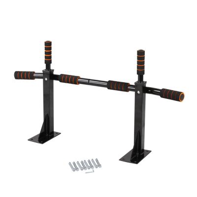 Wall-Mounted Pull-Up Bar and Dip Station