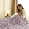 WAVVE Extra-Large Cozy Blanket 230 x 270 cm, Gray Purple view 4