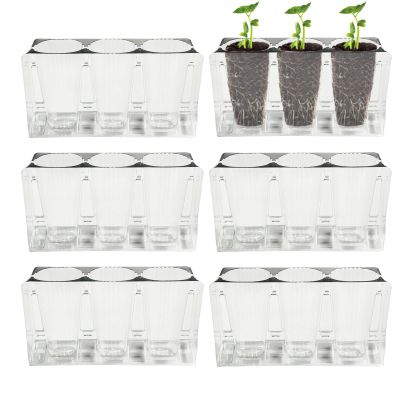 Generic Plant Seedling Trays, 6-Piece Reusable Set