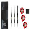 Bayer 04 Leverkusen Steel-Tip Darts Set with Flights and Case view 1