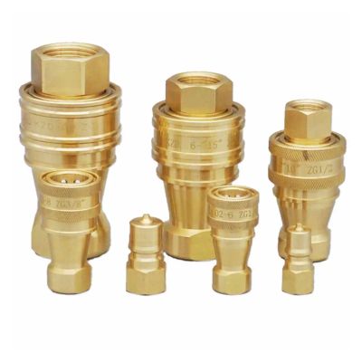 1-Piece 500 Bar 1/4" BSPT Female Hydraulic Brass Quick-Disconnect Coupling for Truck-Mounted Portable Carpet Cleaning