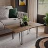 Vicco Yan Coffee Table, Artisan, 100 x 60 cm view 3