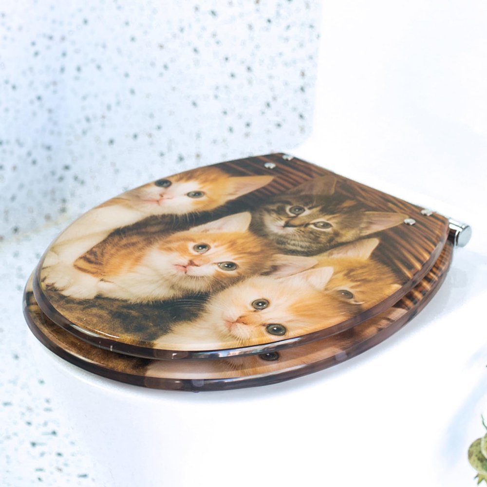 Wansiman Transparent Resin Toilet Seat with Lid and Soft-Close Function