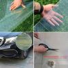 ZXCVBNAS Polycarbonate Roof Panels, Greenhouse Roofing, Transparent Plastic Sheets, Insulation Cladding Panels for Garden, Cold Frame, Carport, Patio (W0.5 x L2 m / 1.6 x 6.6 ft) view 3