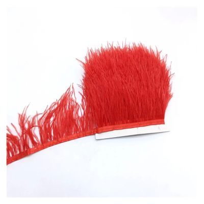 Feather Fringe Trim for DIY Crafts, Sewing and Decorating, Multicolor, 8–10 cm, 1 Yard (Red)