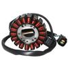 Stator Coil Replacement for DRZ400, DRZ250 and DR250R view 2