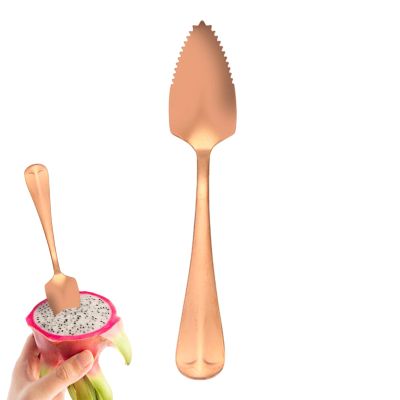 Grapefruit Spoon - Serrated Tool for Digging