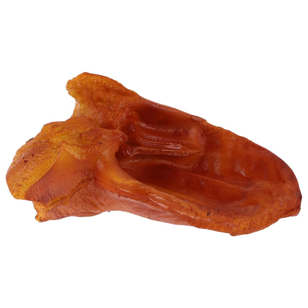 CORHAD Realistic Artificial Pig Ear Prop