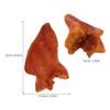CORHAD Realistic Artificial Pig Ear Prop view 2