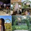 Large Metal Garden Arch for Climbing Plants, 19 mm Iron Tube, 1.8–3.0 m, Rose Arbor for Weddings and Gardens view 3
