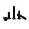 M1.6 M2 M2.5 M3 M4 M5 M6 Black 304 Stainless Steel Laptop Computer CM-Head Ultra-Thin Flat-Head Screws (25 mm) view 2