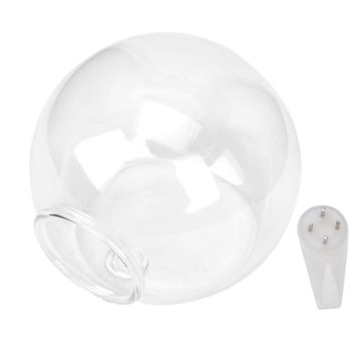 Compact Hanging Glass Vase for Home and Office Wall Decor