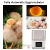 Riuulity Automatic Egg Incubator for 6 Chicken Eggs view 4