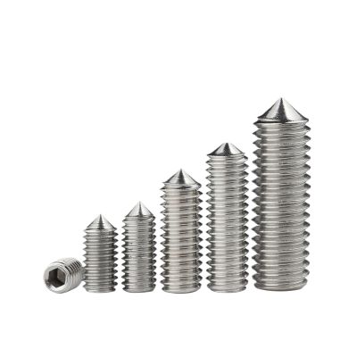10 Stainless Steel 304 Hex-Head Cylinder Screws with Tapered Tips (M16 x 30 mm)