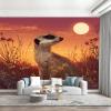 Daisies Sunset Landscape Photo Wallpaper, Nonwoven, 450 x 315 cm (W x H), Meerkat Orange view 1