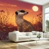 Daisies Sunset Landscape Photo Wallpaper, Nonwoven, 450 x 315 cm (W x H), Meerkat Orange view 2