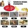 Chicken Coop Water Dispenser with Clog-Resistant Drinking Cups view 4