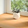 Mengtu Window Sills, 2 Pieces, Light Brown, 90 x 40 x 2 cm, Solid Oak, Model 4009159 view 2