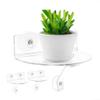 Acrylic Window Shelf with Suction Cups and Brackets for Plants, Spices, Photos, and Small Decor (1) view 4