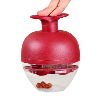yybng 4-Hole Cherry and Plum Pitter