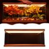 Acrylic Display Case with LED, Transparent Acrylic Diorama Box for Collectibles and Miniatures (20 x 15 x H20 cm / 8 x 6 x 8 in) view 1