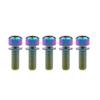 Titanium Screws M6 x 16/18/20/25/35 mm with Square Head and Hex Socket, with Titanium Washers, for Bicycle Brake Stems, 5-Pack (Rainbow, M6 x 18 mm) view 1