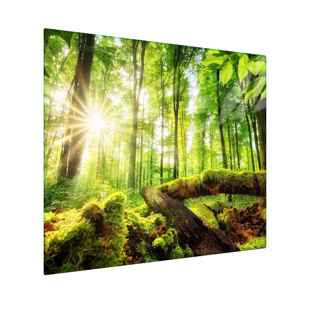 Tempered Glass Stovetop Cover & Cutting Board, 60 x 52 cm