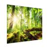 Tempered Glass Stovetop Cover & Cutting Board, 60 x 52 cm view 1