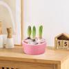 3-Hole Hydroponic Hyacinth Bulb Growing Container view 2