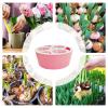 3-Hole Hydroponic Hyacinth Bulb Growing Container view 4