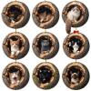 Animal Christmas Ornament, 2D Flat Acrylic Woodland Animal Decoration for Christmas Trees, Hanging Gift (9pcsC) view 1