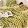 Plush Fleece Blanket, 100 x 150 cm, Fruit Green view 2