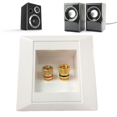 Gold-Plated Banana Plug Speaker Cable Wall Plate