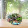 FONDOTIN Glass Bottle for Moss Landscapes and Plant Terrariums view 3
