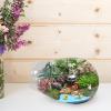 FONDOTIN Glass Bottle for Moss Landscapes and Plant Terrariums view 4