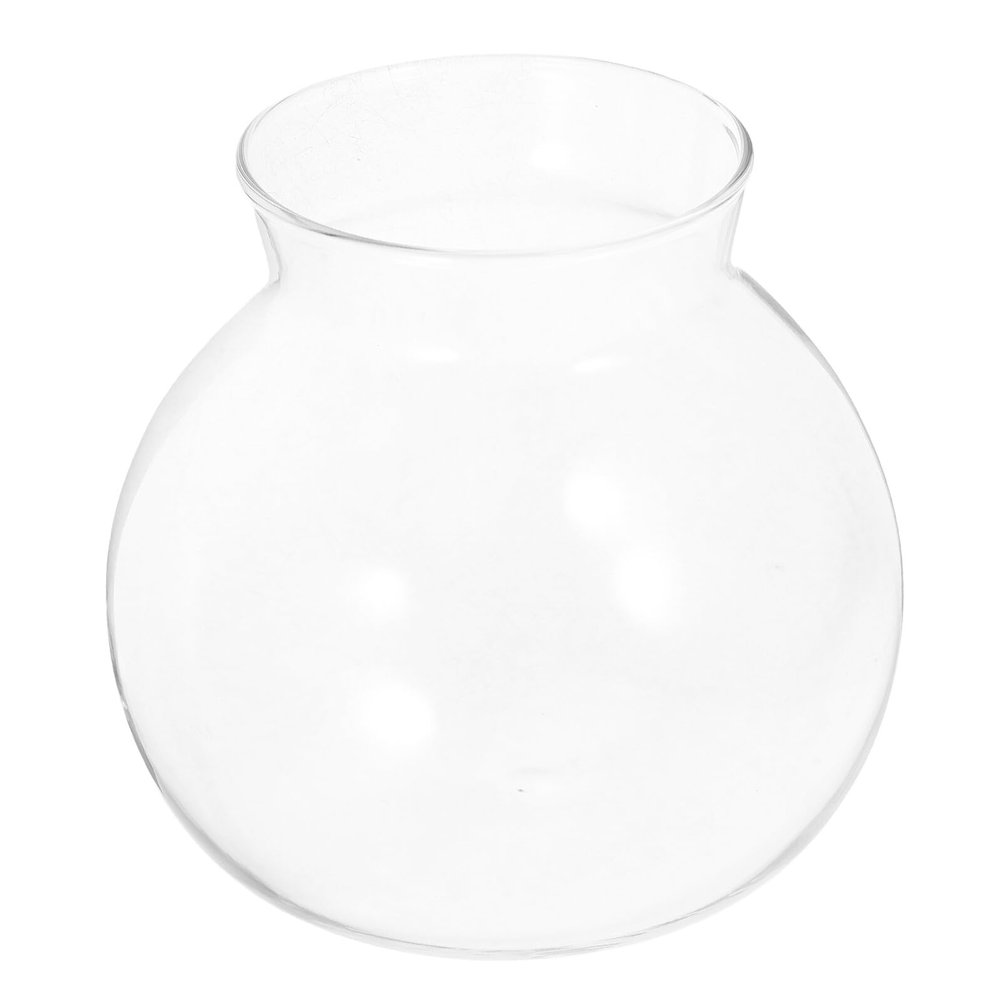 Anneome Moss Plant Terrarium Glass Bottle 135 x 135 cm, Hydroponic Miniature Landscape, No Lid