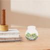Anneome Moss Plant Terrarium Glass Bottle 135 x 135 cm, Hydroponic Miniature Landscape, No Lid view 4