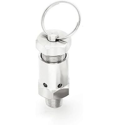 304 Stainless Steel Spring-Loaded Pressure Relief Valve, 1/4 in, 0.510 Bar, for Gas Compressors and Pressure Cookers (5 Bar Fixed)