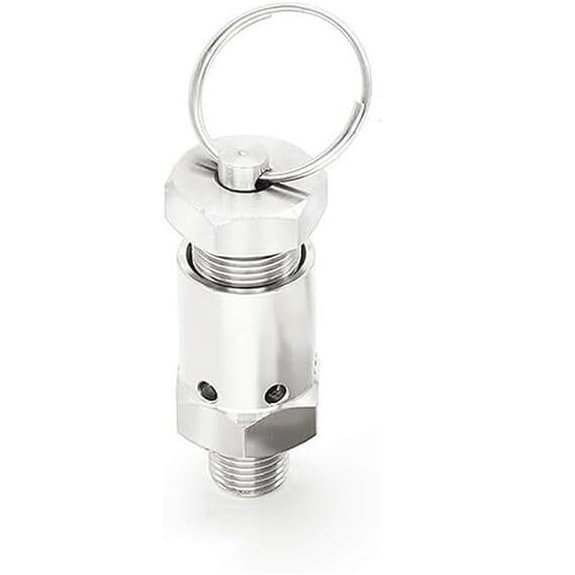 304 Stainless Steel Spring-Loaded Pressure Relief Valve, 1/4 in, 0.510 Bar, for Gas Compressors and Pressure Cookers (5 Bar Fixed)