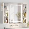 Mepplzian 100 cm Bathroom Mirrored Cabinet with Dimmable Lighting, White view 1