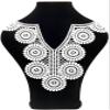 Lace Embroidery Collar view 1