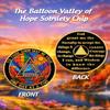 ACGZQY 1-Year Sobriety Anniversary Coin, Rainbow Valley AA Chip and Medal, Ballon Valley of Hope Sobriety Token, Inspirational Gift view 2