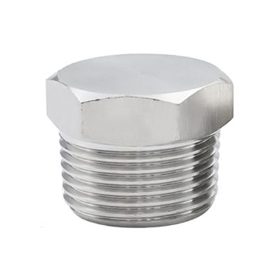 External Hex-Head Threaded Pipe Plug, 2 in NPT Stainless Steel