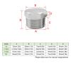 External Hex-Head Threaded Pipe Plug, 2 in NPT Stainless Steel view 2