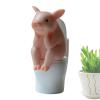 Mini Pig Cartoon Figurine view 1