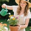 Generic Soil Moisture Meter, 3-Piece Clay Garden Tool view 3