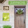 banjado Personalized Design Mailbox, 38.5 x 46.5 x 13 cm, White Steel, Chamomile Green view 3