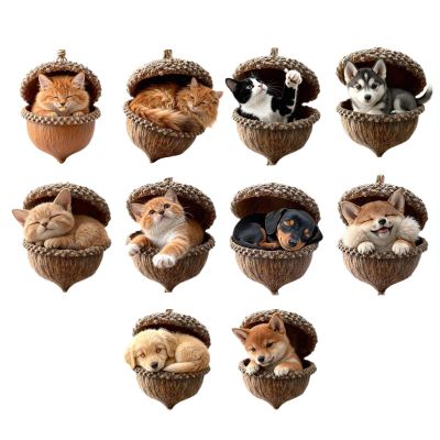 Acorn Animal Christmas Ornaments, 10-Piece 2D Acrylic Set