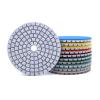 Diamond Polishing Pad, Wet/Dry, for Granite, Marble, Stone and Concrete, 3/4 in, Various Grits, ZJ10 (100, 1 pc, 4 in) view 2