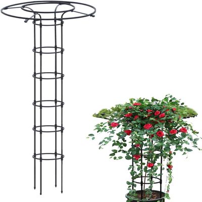 Trellis for Climbing Plants, Extendable Plastic and Rust-Resistant Metal, 210 cm